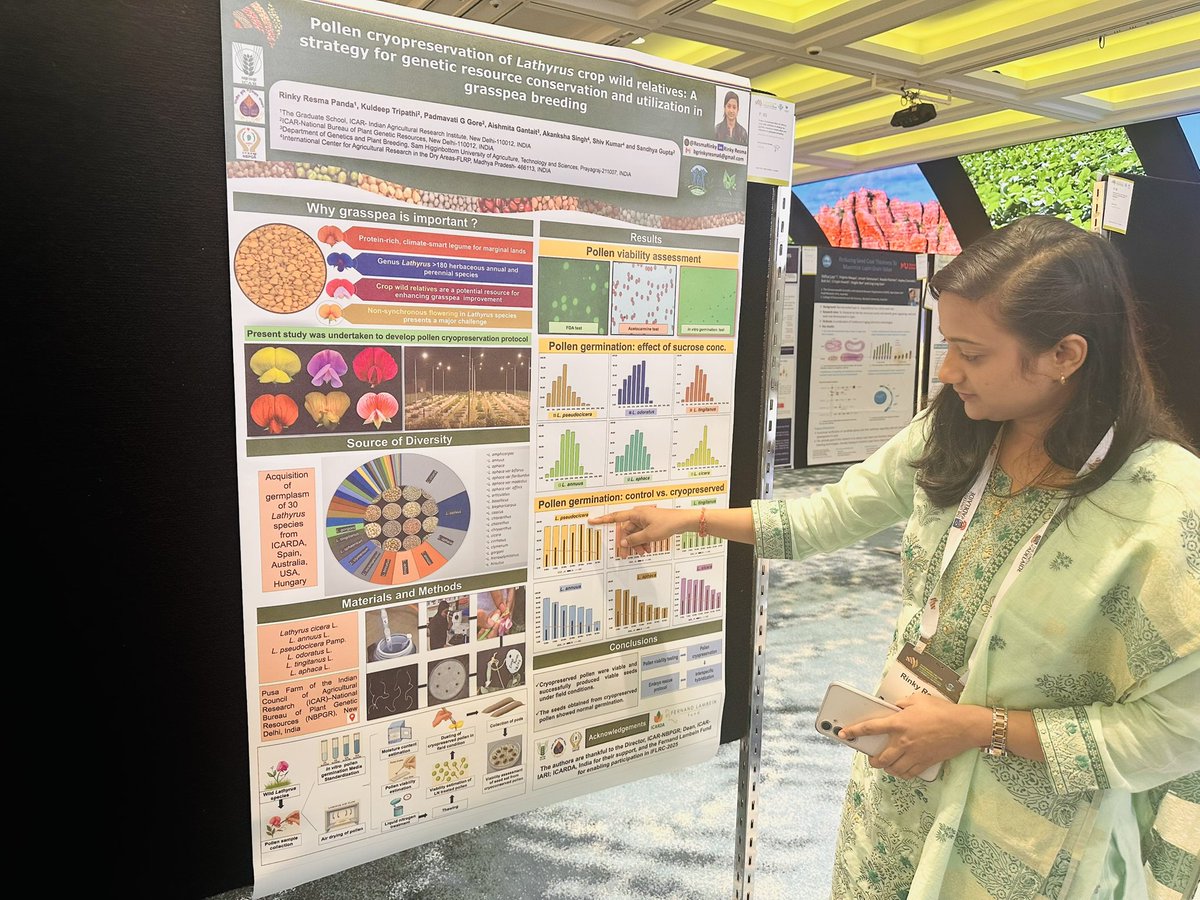 grasspeanet's tweet image. Listen to @ResmaRinky presenting her work on pollen cryopreservation 🌱 @grasspeanet #CWR she says Thanks to @FernandLambein Fund for the support! #IFLRC2025 #APC2025
@icarindia @ICARDA @CropTrust