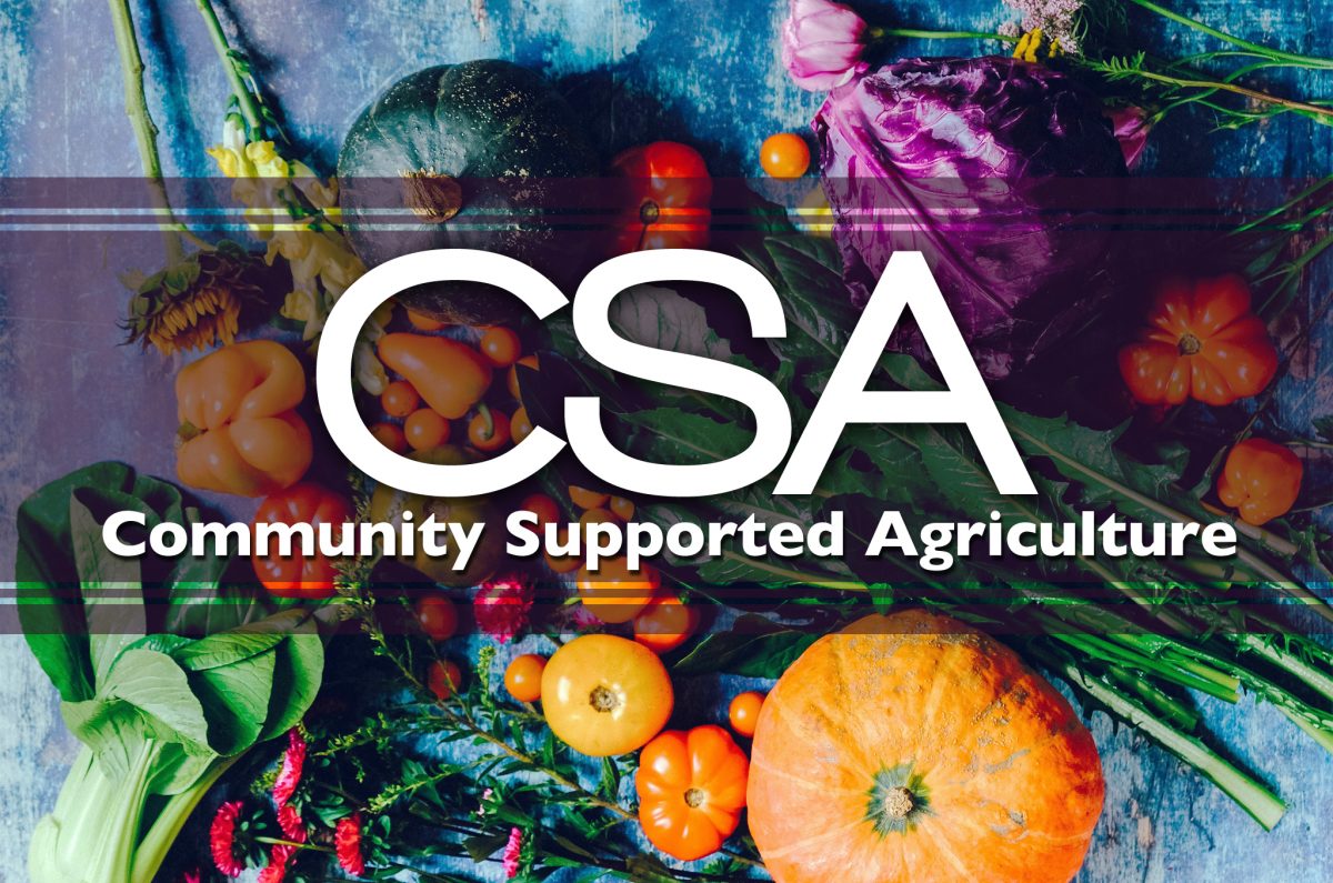 ufiorg's tweet photo. Urban Farming Institute Talk@10 This Sat, 9/20: Seed Starting Class. Subscriptions now open for UFI's Community Supported Agriculture. New River Oyster rope installation Oct 18th. - https://t.co/Pz0s2yluyV https://t.co/kCD8WsMDth