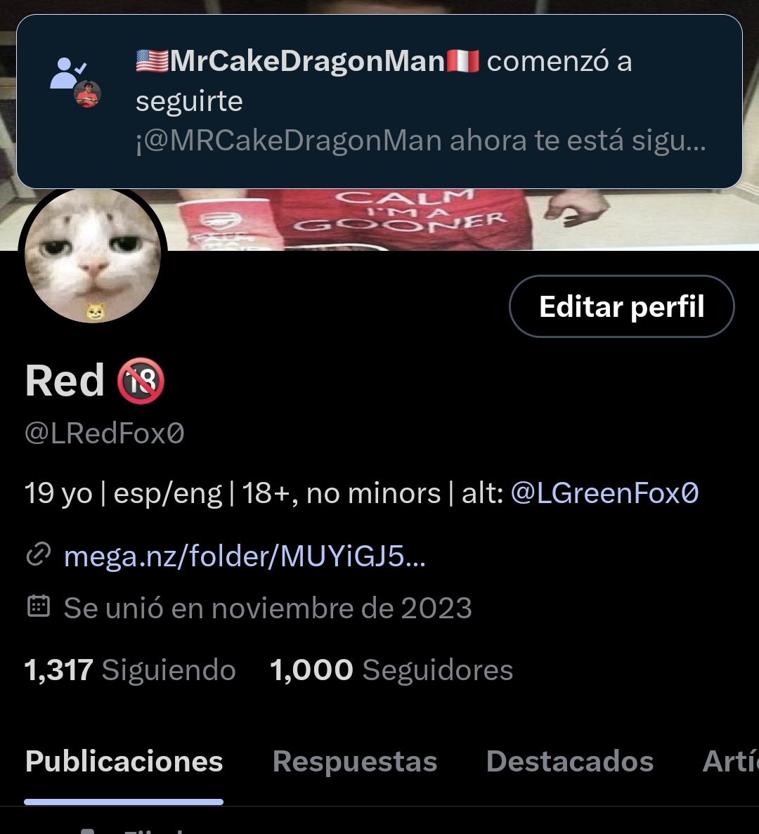 LRedFox0's tweet image. YALL GOTTA CHILL LMAOOO

WE FUCKING DID IT!!! 1K!! 

THANK YOU; TO EVERY SINGLE ONE OF 🥳
