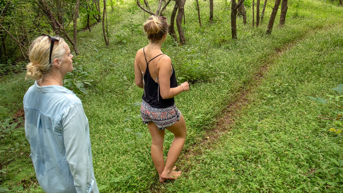 Natureconnechu's tweet image. Step outside.
Breathe deeply.
Feel alive.
#NatureHub #ReconnectWithNature #EcoPeace