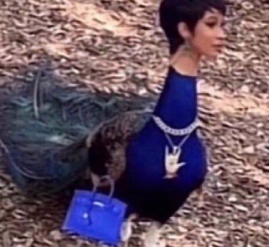 nudibranchia 腐女子🫃🏽 tweet media