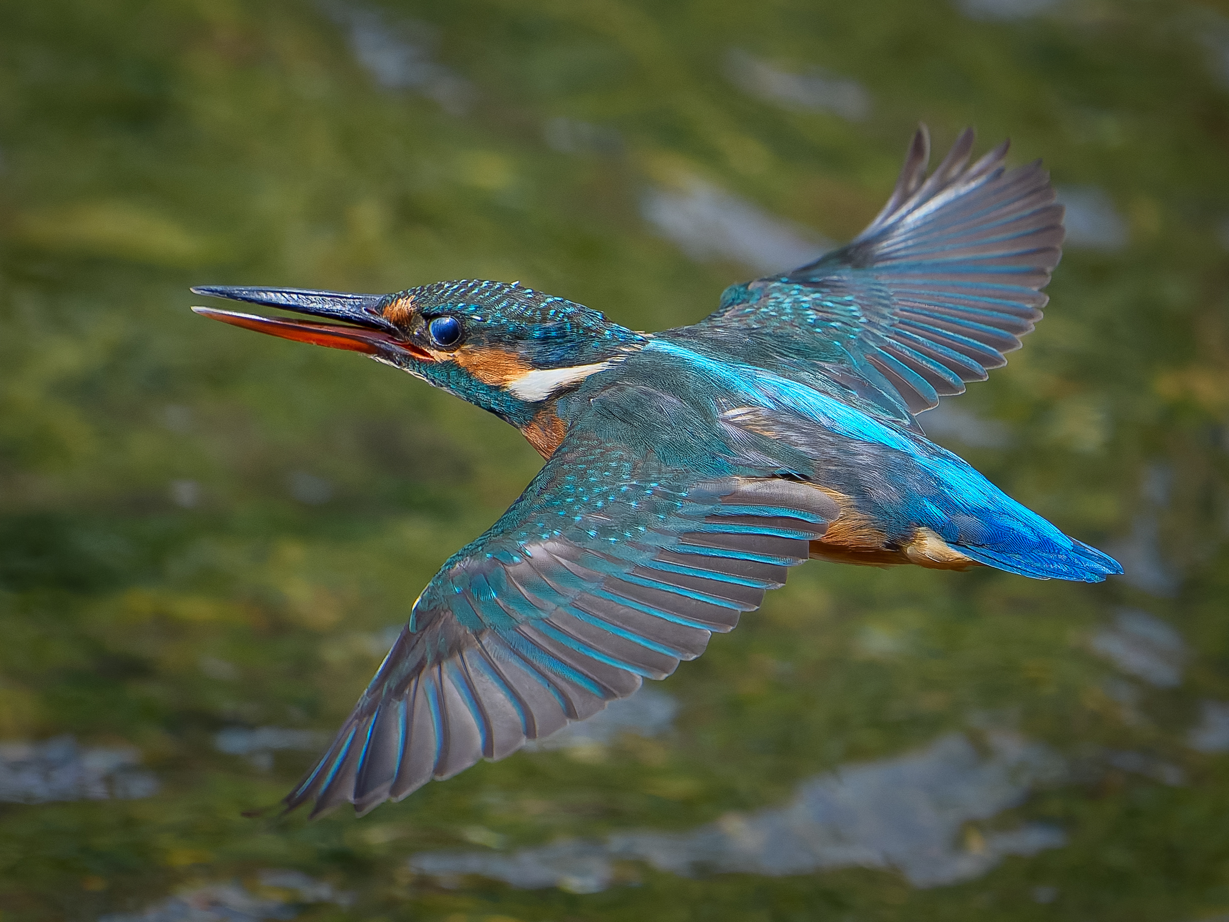 マサページ imgrc0075930384.jpg