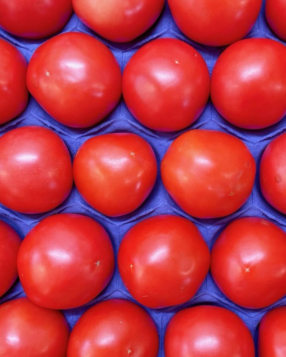 トマト - Search / X