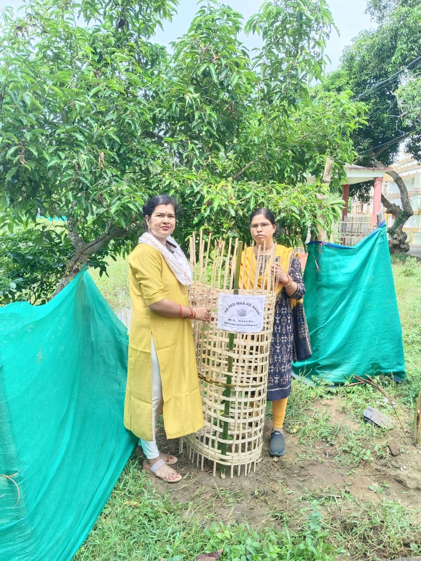 Plantation drive at Tahasil office and different RI offices