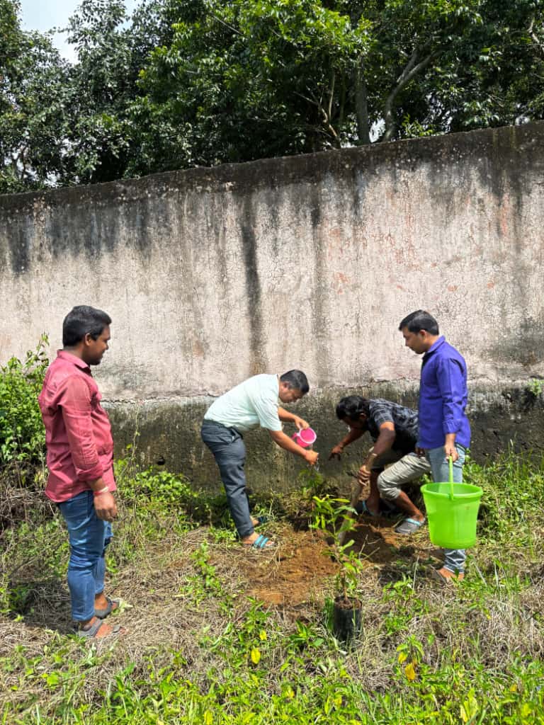 Plantation drive at Tahasil office and different RI offices