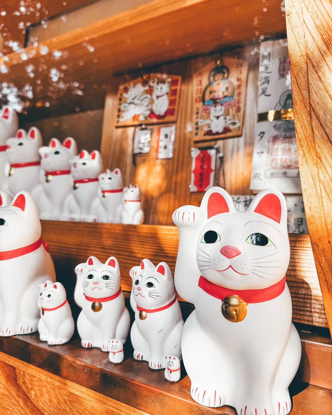 招き猫 豪徳寺 10号 招福猫児 豪徳寺招き猫尺(10号)