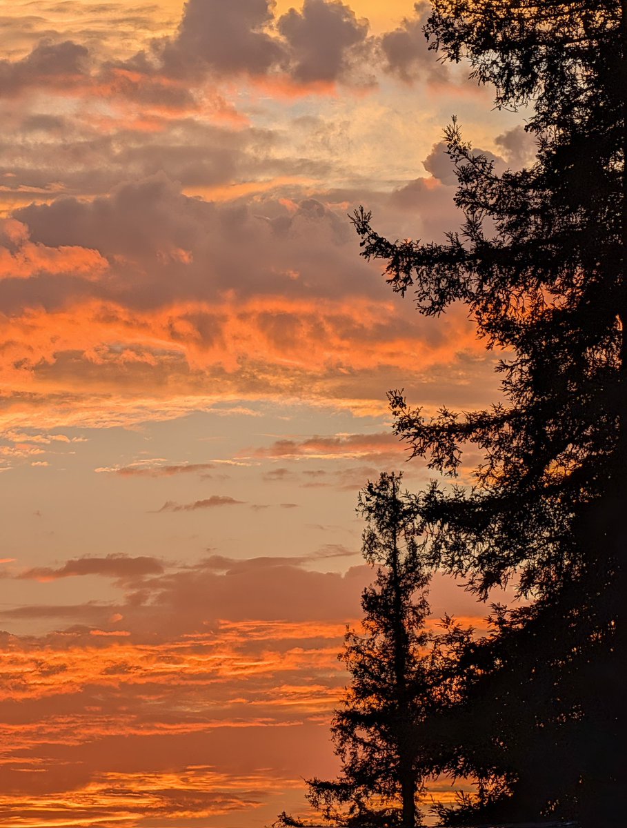 _Rani_Dixit's tweet image. .
Caught beautiful sunset skies outside my house 🏡 this evening 🌄 
#myclick 
#theme_pic_India_Sunset