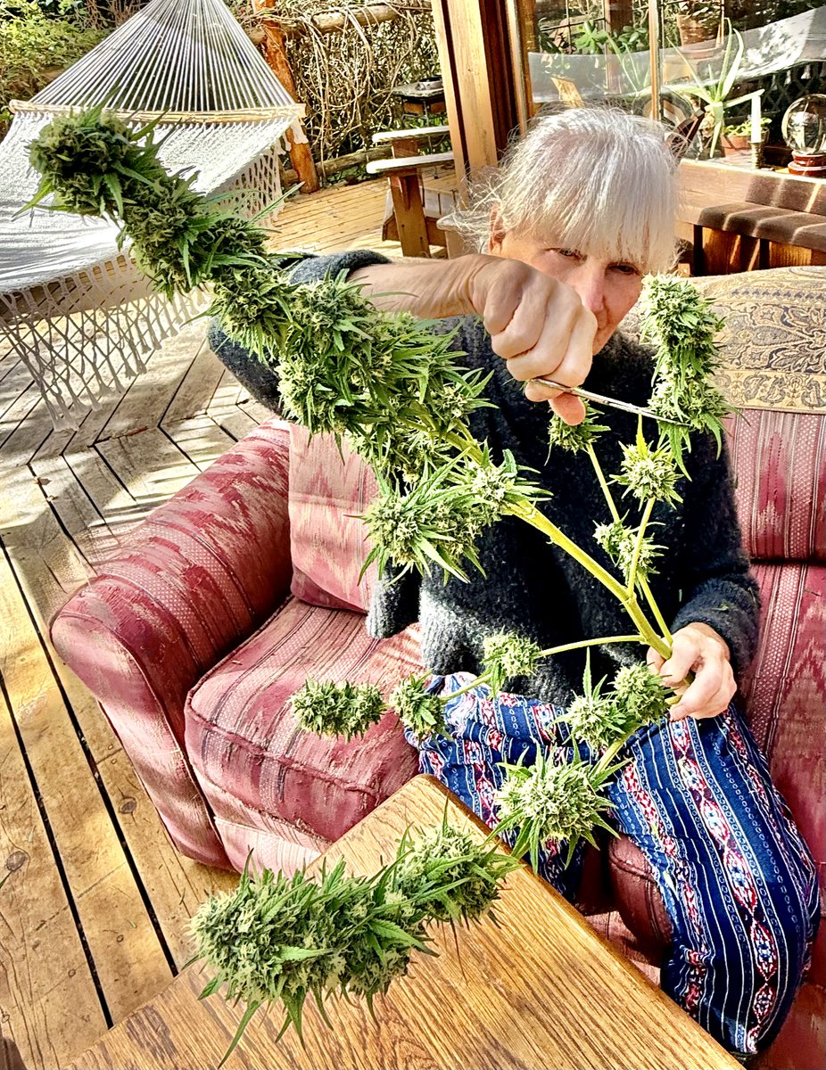 JudithRenaud's tweet image. #EFSDP &apos;Harvest Time&apos; September 17th, 2025