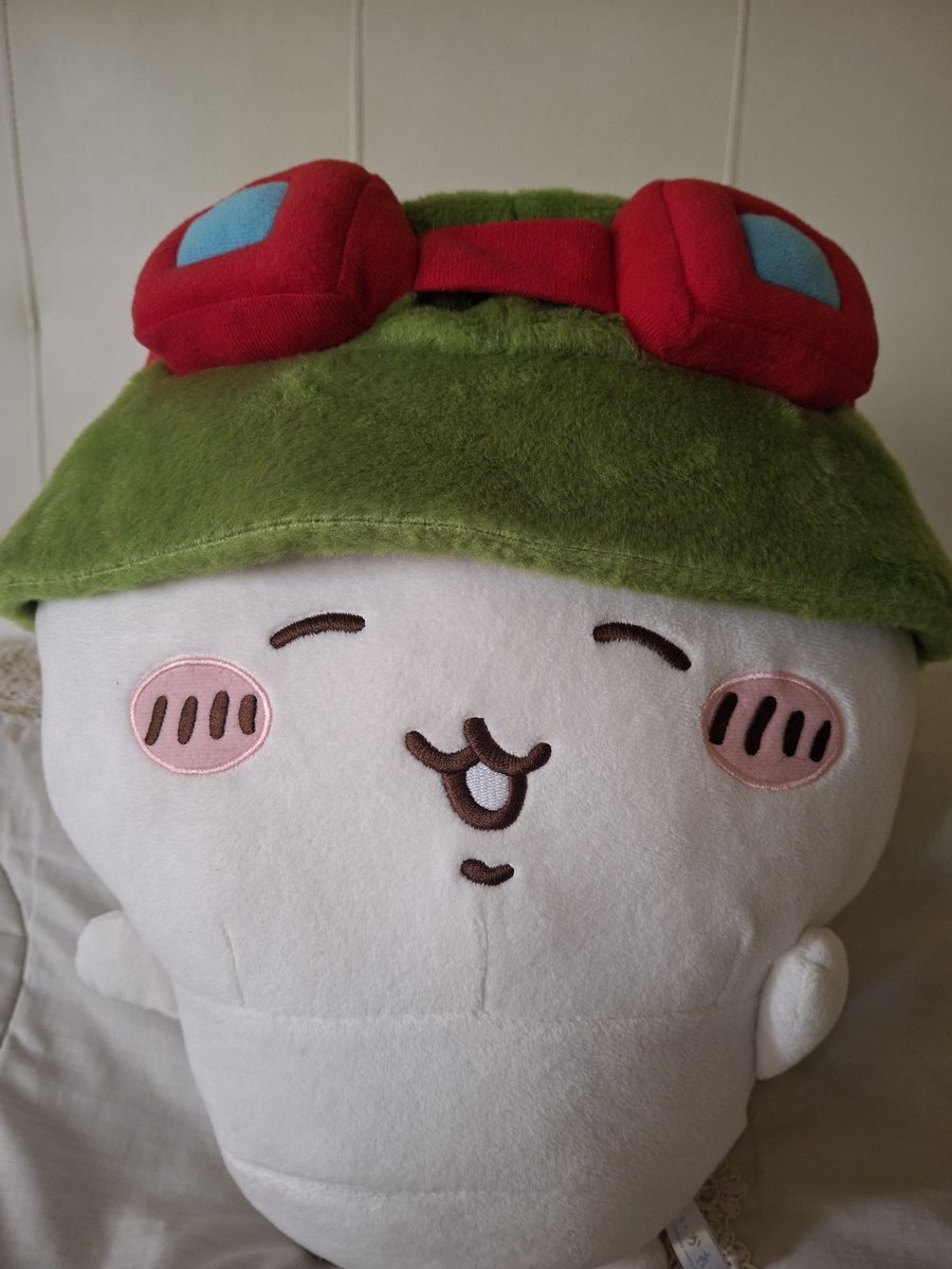 My brother's teemo hat fits perfectly on my chiikawa
