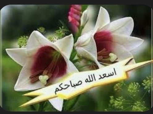 #صباح_آلخيــــر 🌺
🖍....1️⃣
" لكَ مني ما أراه منك أنا ذو ودٍّ  لِمن دامَ وده "
   ⚘️همسةooooooالصباح⚘️