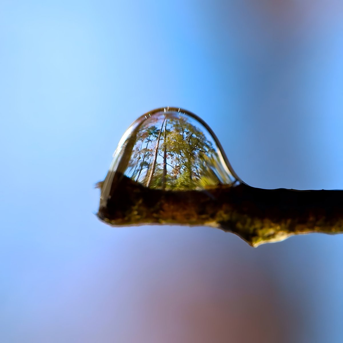 Пахнет осенью. А я люблю российскую осень. Что-то необыкновенно грустное, приветливое и красивое. Взял бы и улетел куда-нибудь вместе с журавлями. 

Антон Павлович Чехов