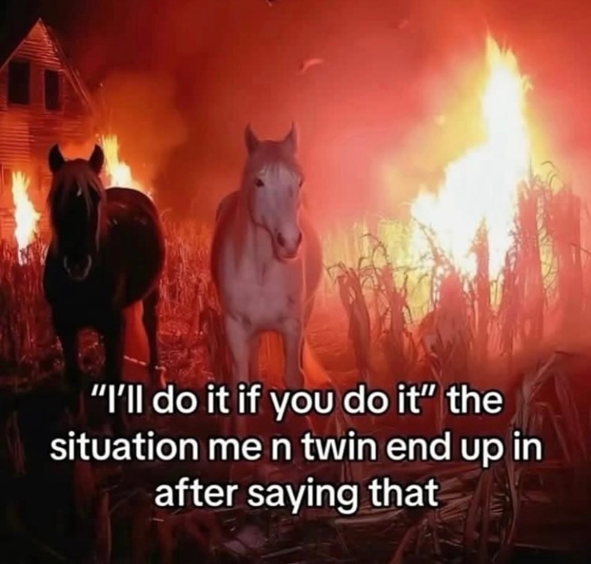 RespectfulMemes's tweet image. 