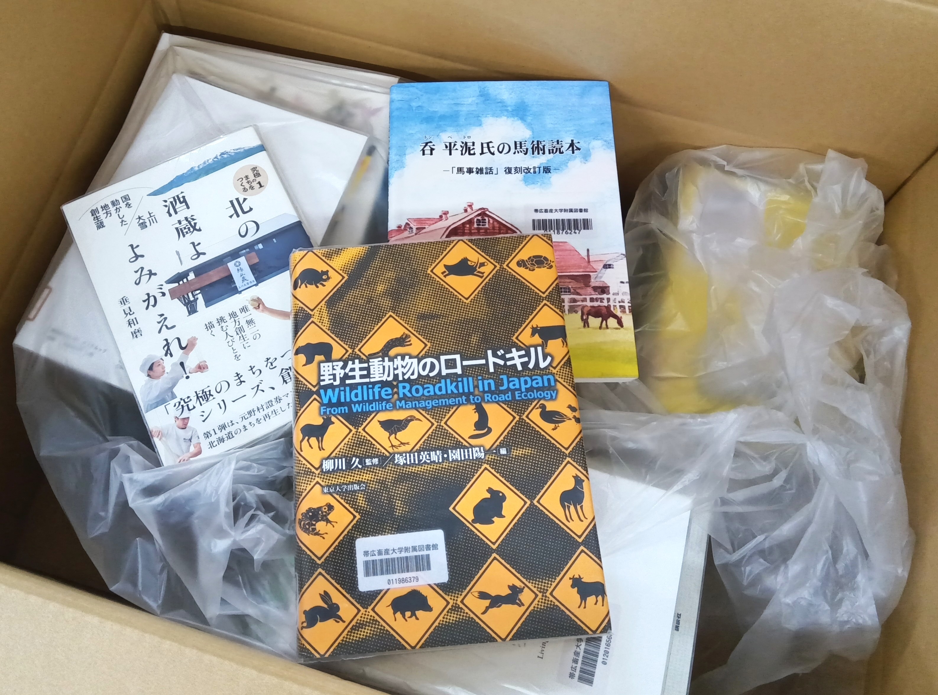 ピーチ姫 情報 免許 教科書 北海道教育大学 セット 北海道教育