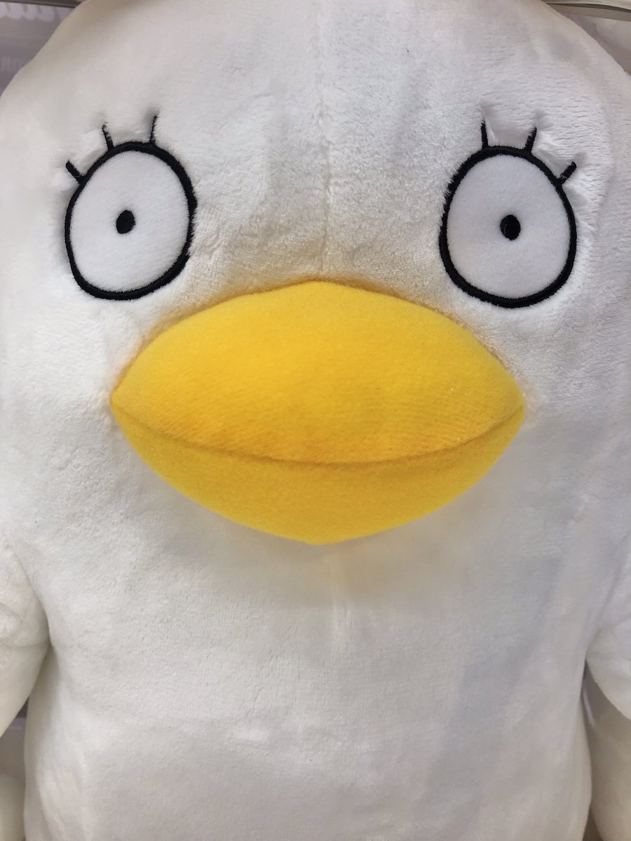 エリザベス – Søg / X