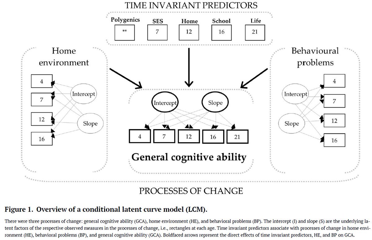 Riot IQ Research tweet media