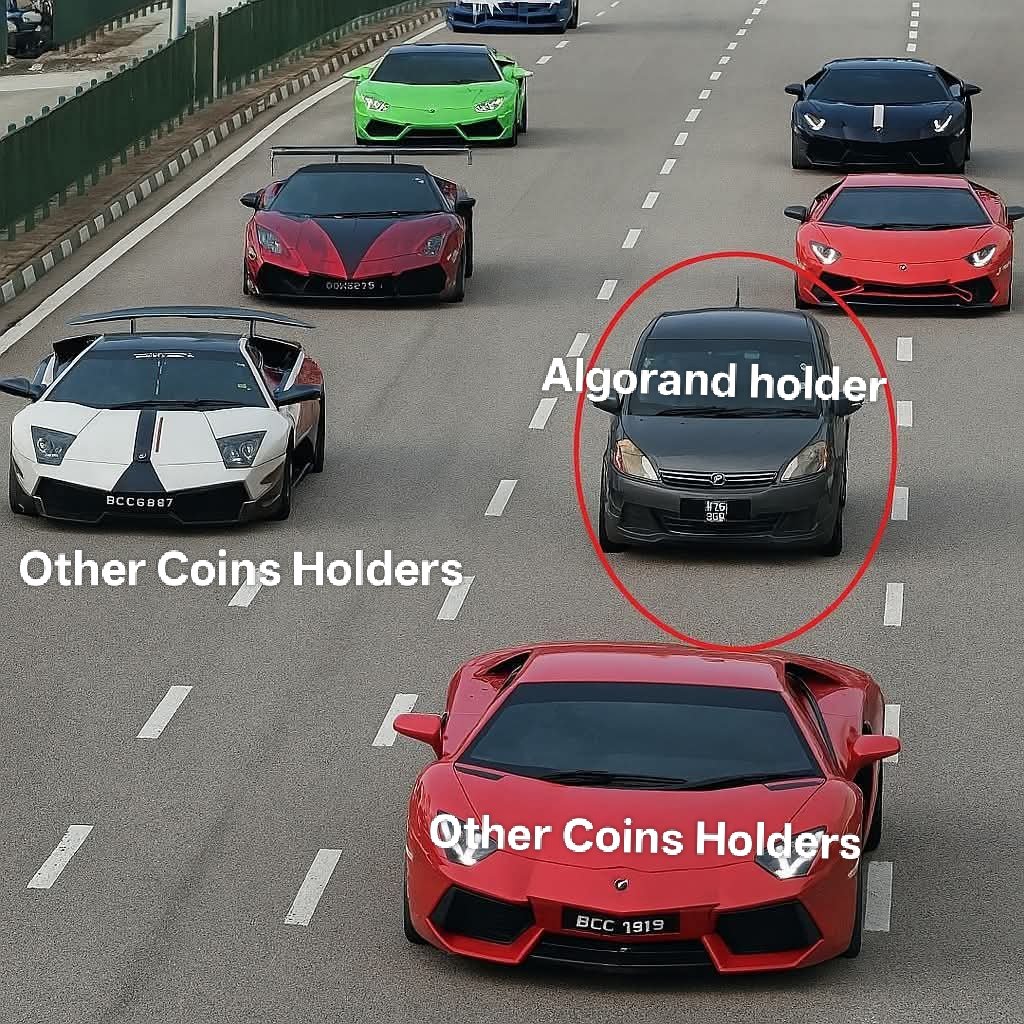 savecrypto0's tweet photo. @cz_binance @binance @AlgoFoundation #algorand #BNB新高 @Algorand @silviomicali @cz_binance https://t.co/aEwQ3Wdpgo