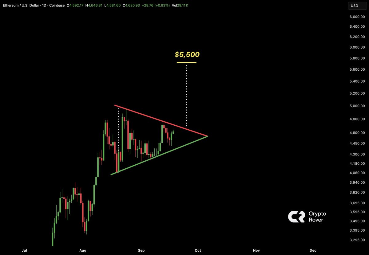 Crypto Rover tweet media