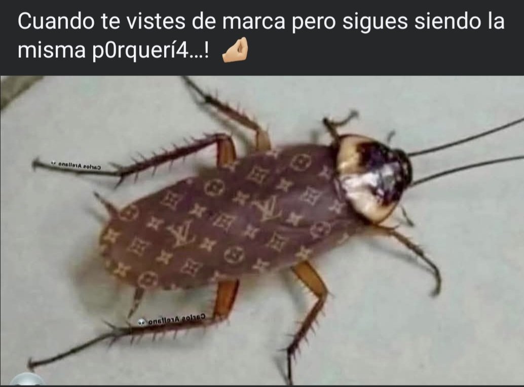 Conozco a  alguien asi. Lo peor: debe todo lo que trae puesto.