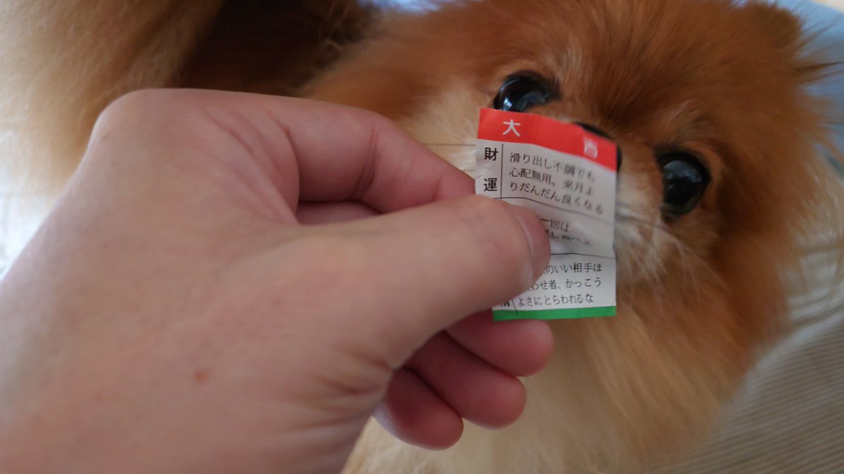 昨日友達と出かけた
奥さんからのお土産。
「おみくじせんべい」
ウチのきなこサン、大吉やった。