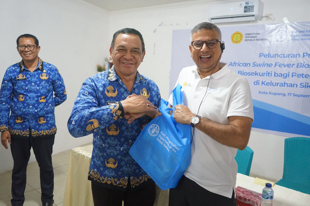 New milestone in the fight against #ASF! ✅

<a href="/FAO/">Food and Agriculture Organization</a>, <a href="/ditjen_pkh/">Ditjen Peternakan dan Keswan</a> &amp; <a href="/DisnakNTT/">Dinas Peternakan NTT</a> launch #CABI in East Nusa Tenggara, helping farmers protect their pigs 🐖, income &amp; traditions with practical #biosecurity 

Toward a more resilient 🐖 farming sector💪🏼 in 🇮🇩

<a href="/mafrakorea/">농림축산식품부</a> <a href="/FAOAsiaPacific/">FAO Asia Pacific</a>