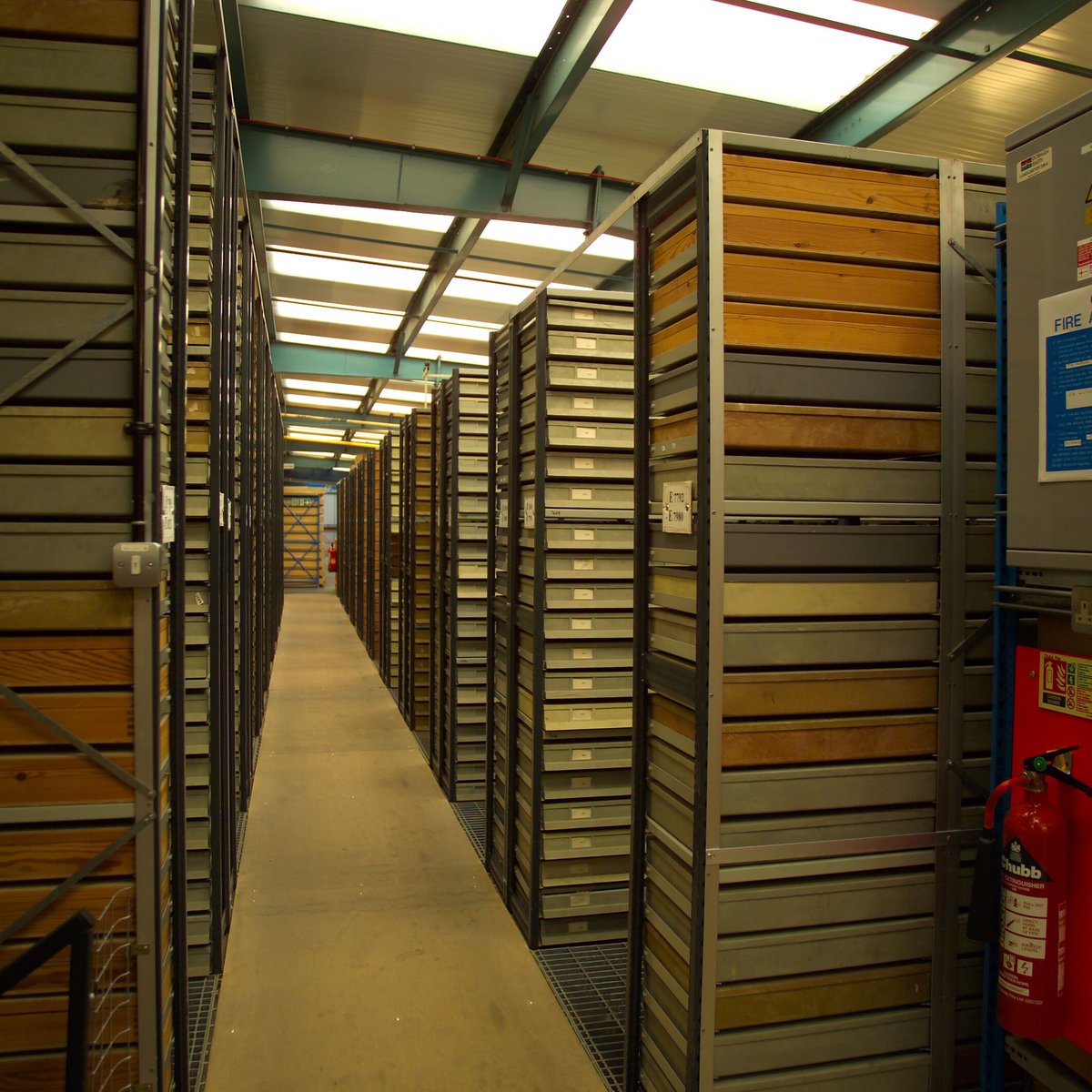 The Scottish Geology Trust (@scottishgeology) on Twitter photo Step into deep time ⏰ with the <a href="/BritGeoSurvey/">British Geological Survey</a> to explore Scotland’s fossil record—from early marine life 🪼 to land-dwelling reptiles 🦎
See real specimens from the collection and trace the evolution of life!
📅 26th Sept, book a time from 12:00 - 3:00, Lyell Centre, Edinburgh Step into deep time ⏰ with the <a href="/BritGeoSurvey/">British Geological Survey</a> to explore Scotland’s fossil record—from early marine life 🪼 to land-dwelling reptiles 🦎
See real specimens from the collection and trace the evolution of life!
📅 26th Sept, book a time from 12:00 - 3:00, Lyell Centre, Edinburgh