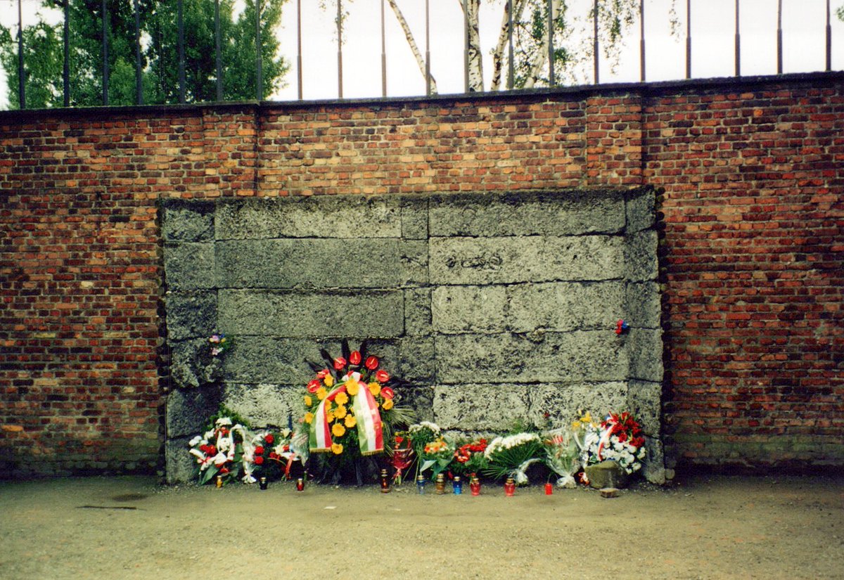 Mark Frohnmayer tweet media