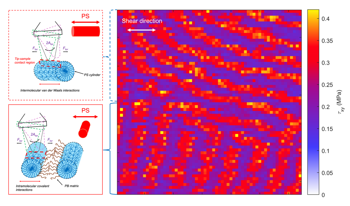 NanosurfAFM's tweet photo. Learn how Christian Dietz and team used torsional spectroscopy to studiy shear properties in heterogeneous polymers. Discover their publication and why Nanosurf is a trusted AFM brand. #polymer #torsional #AFM #articlehighlight
https://t.co/o5XCSIQisZ https://t.co/E0shqCNcNQ