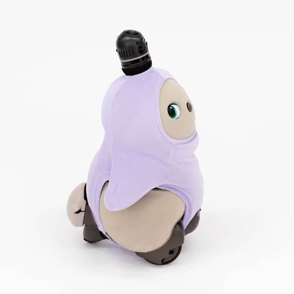 👜再入荷のお知らせ／ 完売していました「ベロアカットソー（ワイン