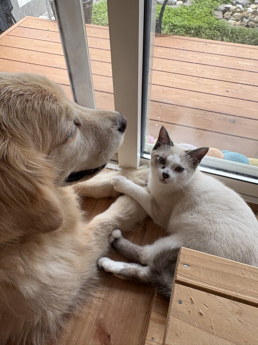 まだ暑い🥵
手を取り合ってがんばろっ！