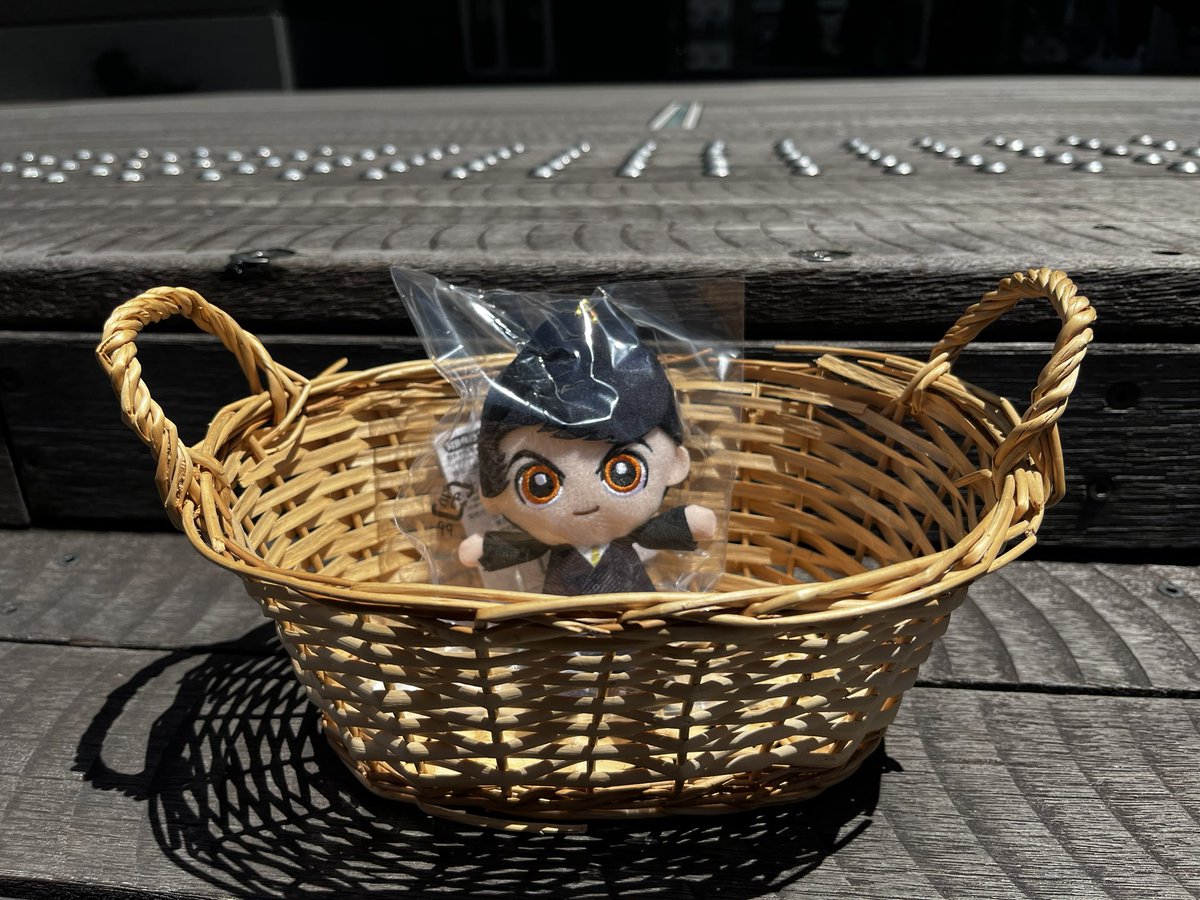 ピノコ - Search / X