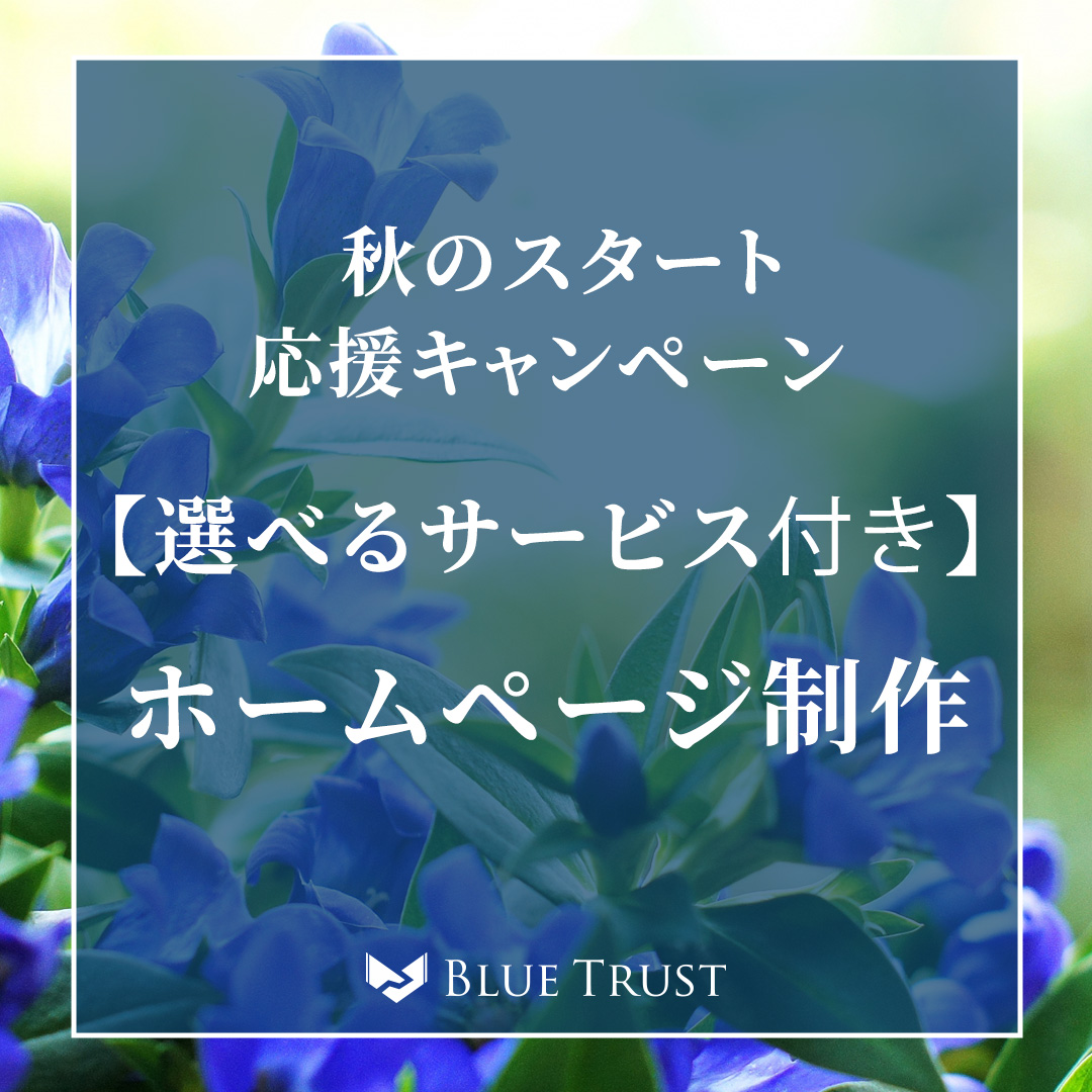 bluetrust2018's tweet photo. 【選べるサービス付き】
残暑がまだ残る毎日ですが、秋は何か新しいことを始めるのにぴったりの季節です🍁
ホームページ制作をご依頼いただいた方限定で、
『ホームページのデザインとお揃いの名刺』
または
『ホームページに載せるPR動画制作』
のどちらかを選べるサービスをお付けします✨ https://t.co/qia4wDX759