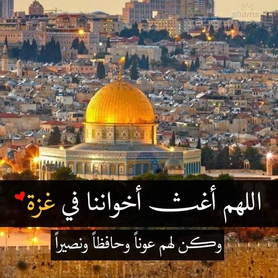 AlmosawiHaydar's tweet photo. @aa_arabic https://t.co/KZWLEgoK0y