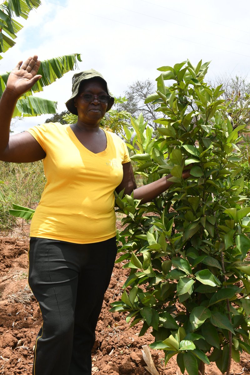 Africa Sand Dam Foundation (ASDF) tweet media