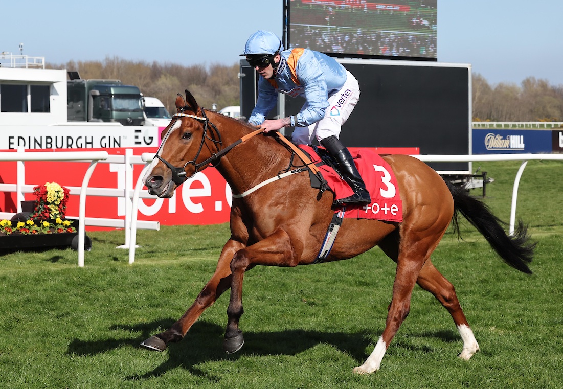 MprUpdates's tweet image. The only syndicate represented in ALL THREE @ayrracecourse Class 2 Cups – Gold, Silver &amp;amp; Bronze! 🏆

🏅Gold Cup: FAHRENHEIT SEVEN
🥈Silver Cup: PALS BATTALION, SILKY WILKIE, SOCIETY MAN
🥉Bronze Cup: AZURE ZAIN

Good luck to all! 🏴󠁧󠁢󠁳󠁣󠁴󠁿

#TeamMPR