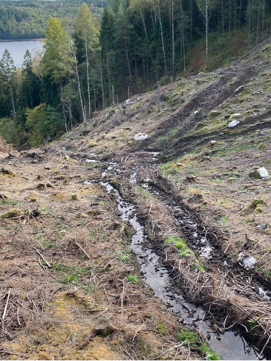 Varför är det högre avrinning från hygge än från skog? Ett aktuellt tema med tanke på regnkatastrofen i Ångermanland. 

hans-orjan.blogspot.com/2025/09/varfor…