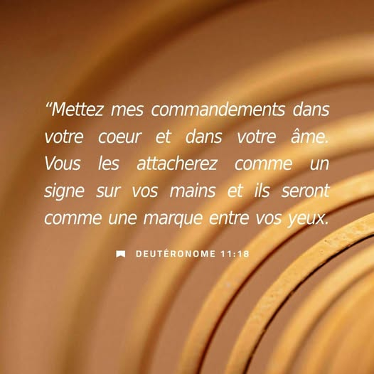 ckzw's tweet image. #Deuteronome #versetbiblique #commandements #paroledeDieu #CKZW #lesongospelduQuebec