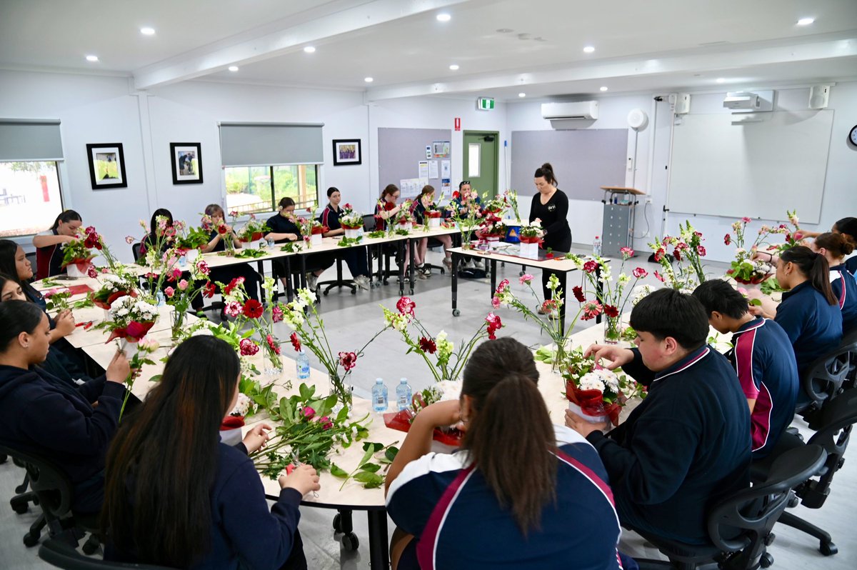 ChifleyCSC's tweet image. A group of Stage 5 students got to experience something a little different this week - a hands on Floristry Workshop organised by our EPP Team. Putting their new understanding of floristry into practise, they created their own boxed floral arrangement! 💐  bit.ly/4nGhXC8