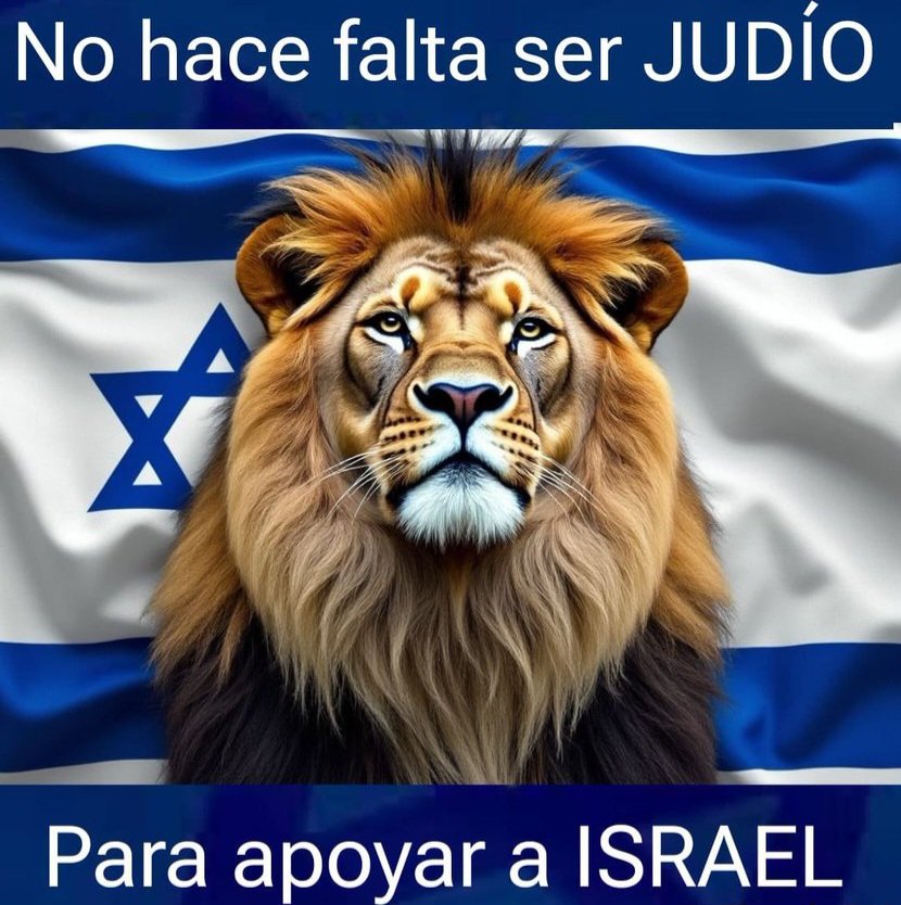 Sirley Avila Leon tweet media