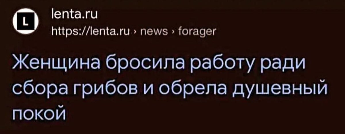 Gribanov ☢ ᓚᘏᗢ (@gribanov) on Twitter photo 