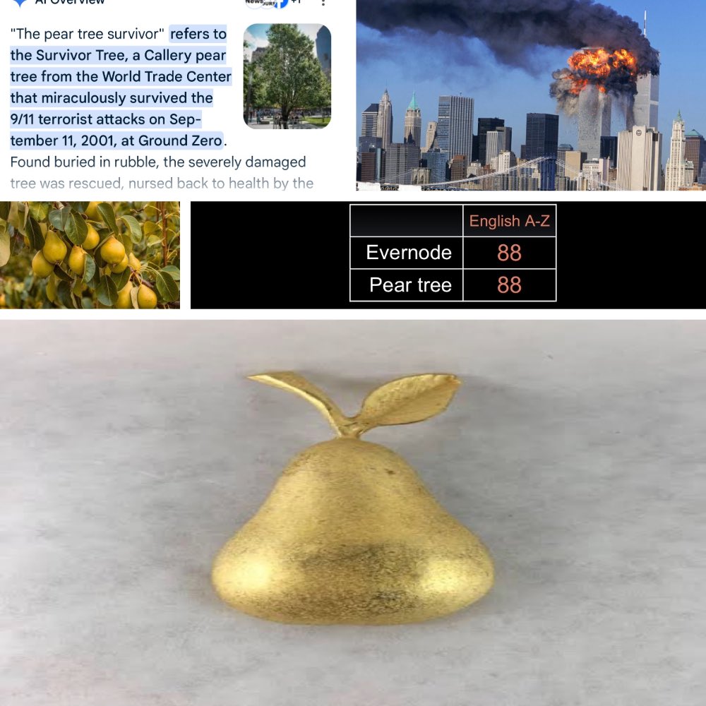 execution_layer's tweet image. In ancient Greece, pear trees were considered gifts from the gods. 🤖🍐
The pear tree will be around many years after global blockchain regulations.
⛓️⛓️
🕋
#EVERNODE #XRP #CODIUS #RIPPLE
