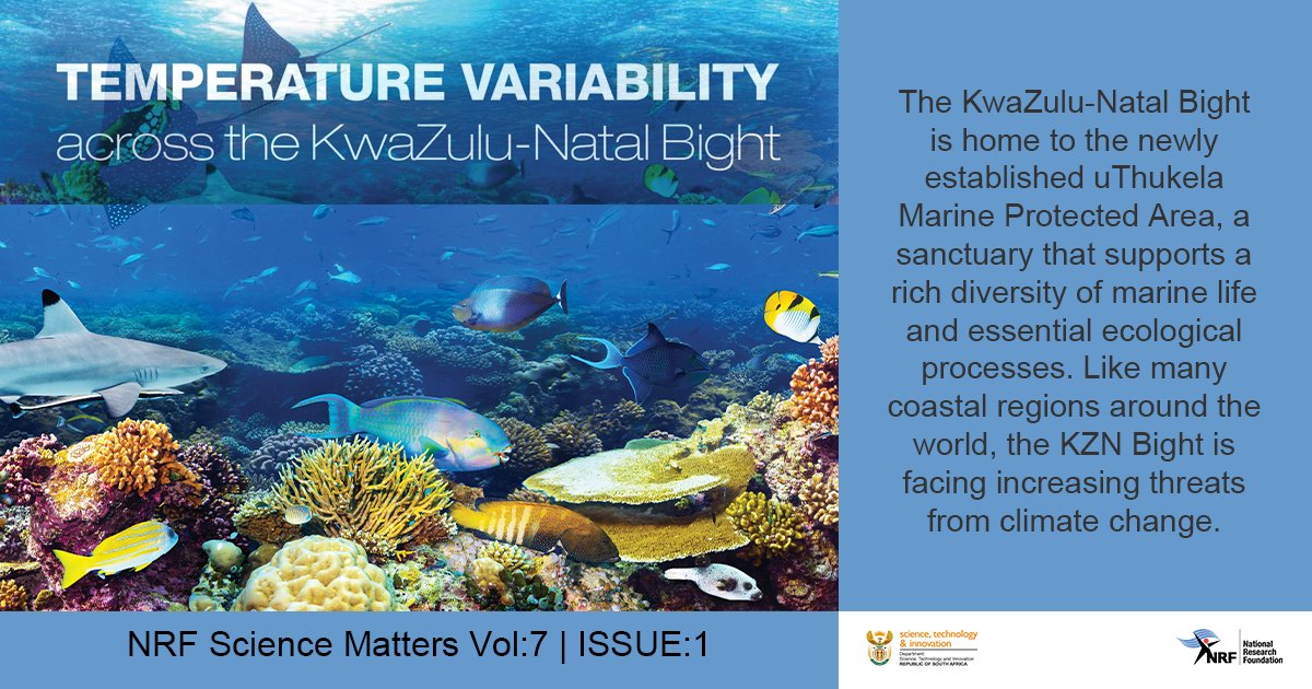 NRF_News's tweet image. #NRFScienceMatters | Marine Protected Areas are established to promote the recovery and health of ecosystems. A research study funded by the NRF investigated changes in ocean temperature across the KZN Bight from 1980 to 2021. 

Full article here: nrf.ac.za/science-matter…