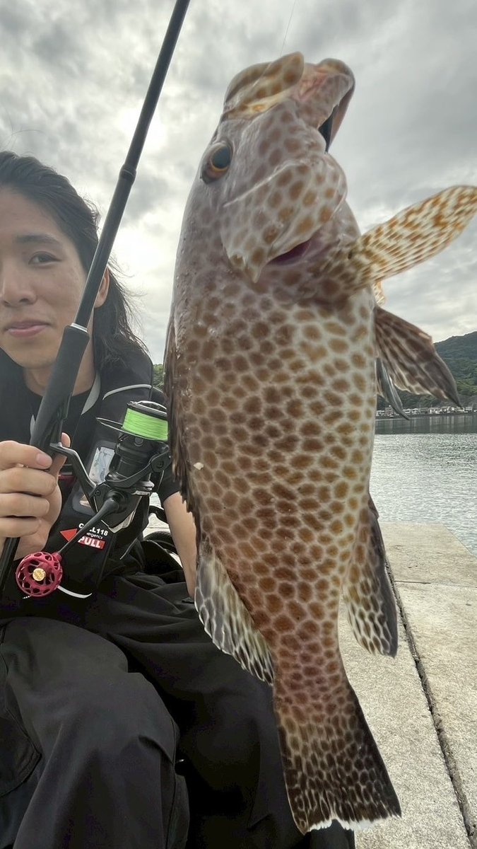m16kim's tweet photo. 9月初旬は、遠征で初魚種オオモンハタ！
駆け込みで夏休み"感"を楽しめました！
#evometal
#metaknob32limited
#metaknob14
#ECOGEAR
#BUGANTS
#mazume https://t.co/ITjA6L0pR5