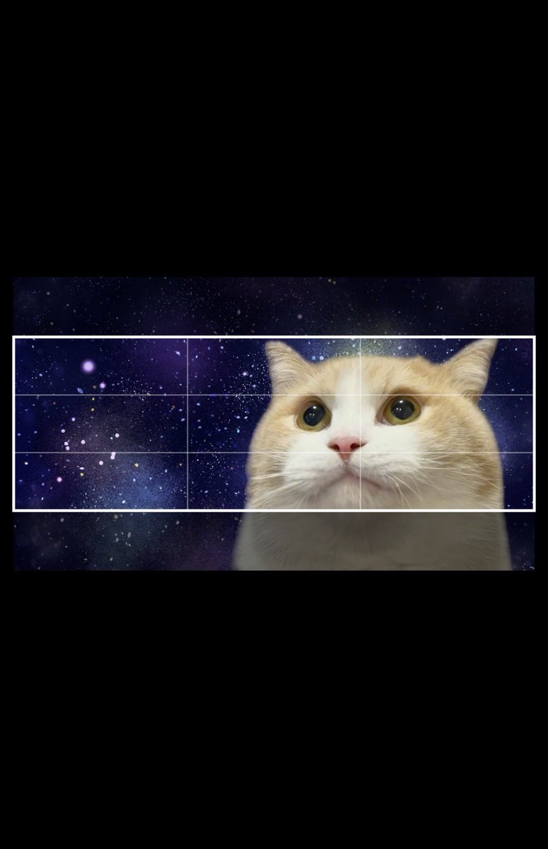 u_m_uz's tweet image. かわいいヘッダー見てくださいദി^._.^)