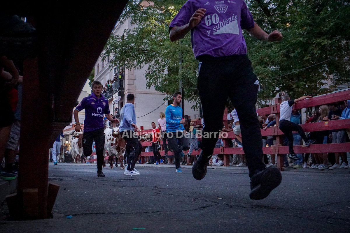 🤝🏻Muchísimo honor a todos los que salen con la camiseta del <a href="/deporguada/">C.D. Guadalajara 🟣⚪️</a> a las calles