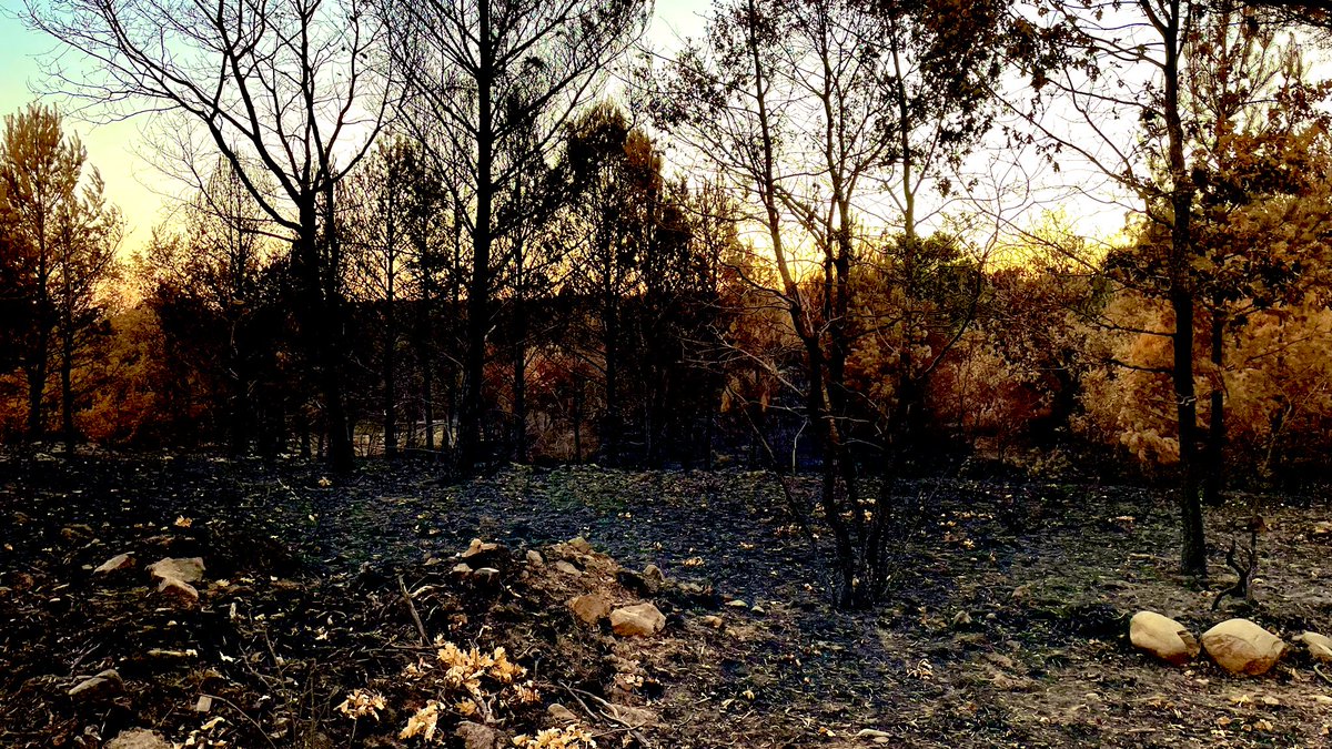 Hay imágenes tristemente simbólicas.