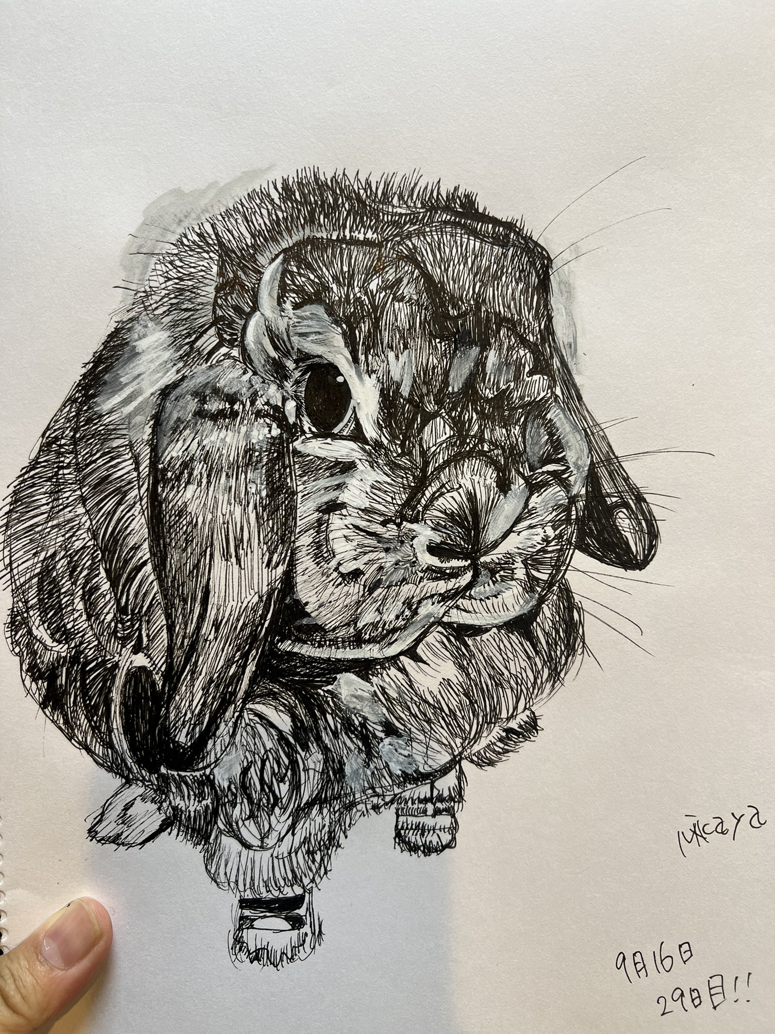 うさぎ絵 まめこ@蔦屋静岡店でグッズ販売してます＊＊ on X: 
