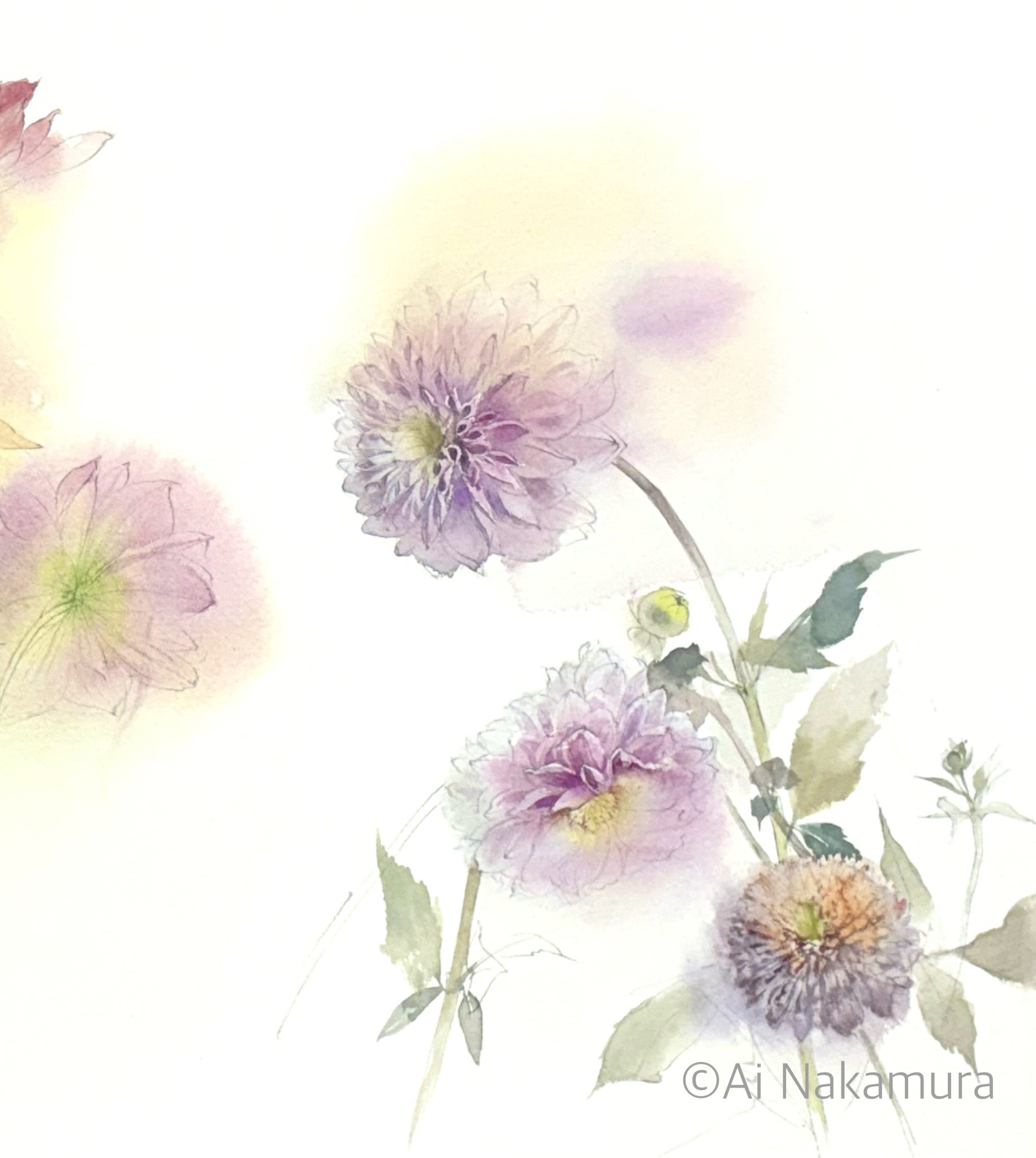 花の水彩画 - Search / X