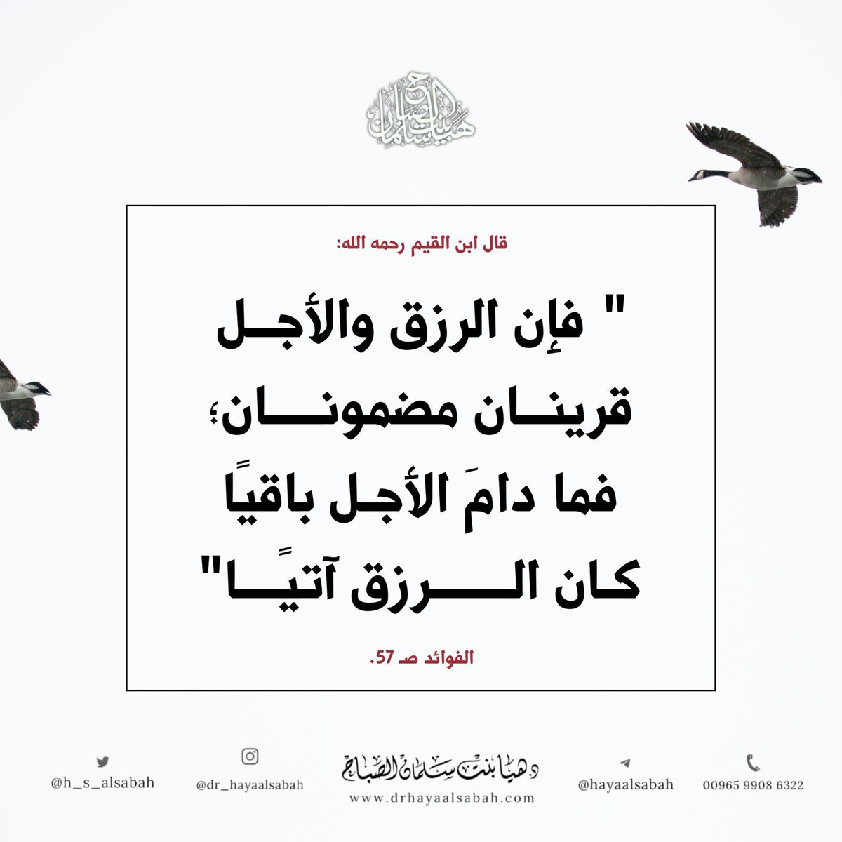 ﴿وَمَن يَتَّقِ الله يَجْعَل لَّهُ مَخْرَجًا وَيَرْزُقْهُ مِنْ حَيْثُ لَا يَحْتَسِب﴾