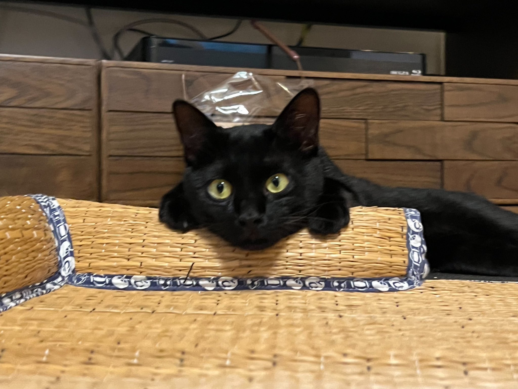 まつ(生きてる) (@noukinmatu) / X