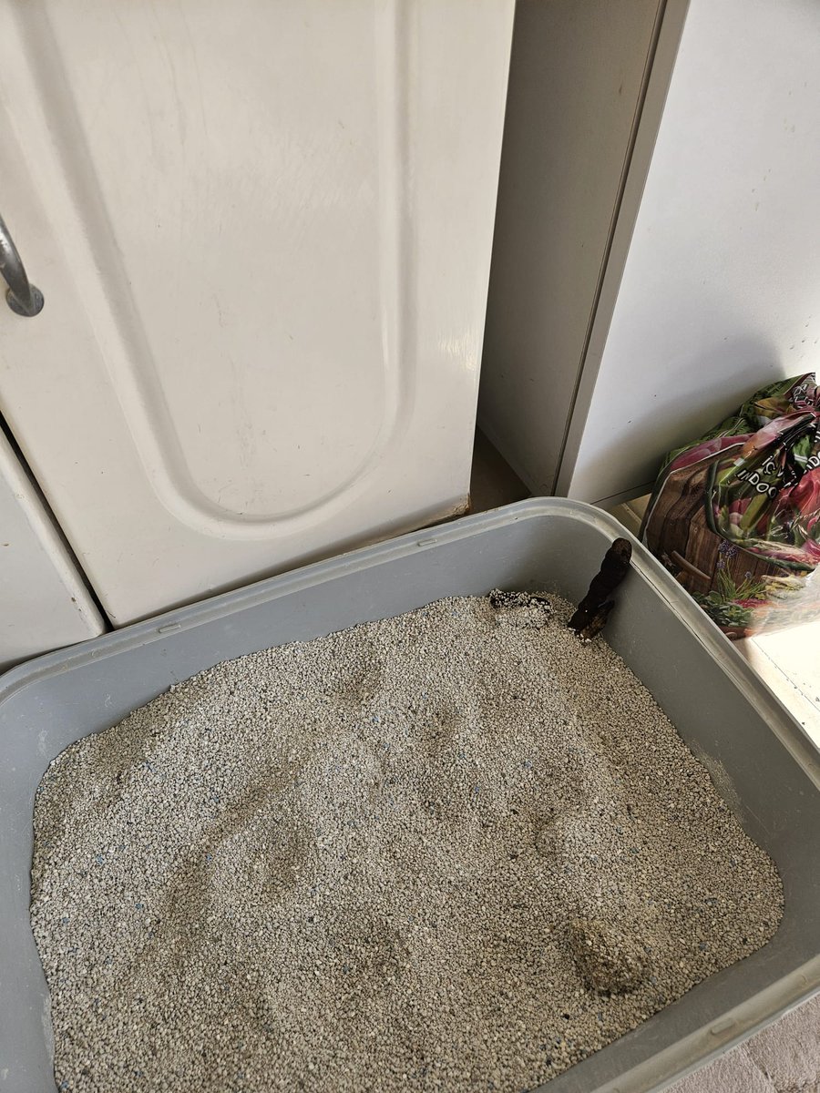 "Salatayı ortayamı yapayım abi?", "Hayır kenara dikine yap"